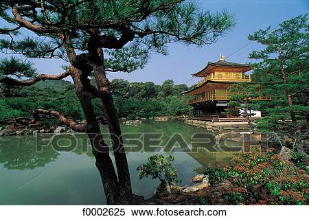 Japan, Kyoto, Kin Kaku Ji, Golden Pavillion View Large Photo Image Stock Photography - Japan, Kyoto, Kin Kaku Ji, Golden Pavillion. Fotosearch