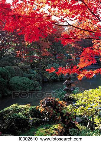 Japan, Kyoto, Parc Tofuku Ji at fall View Large Photo Image Stock Image - Japan, Kyoto, Parc Tofuku Ji at fall. Fotosearch