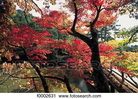 Japan, Kyoto, Shugakuin Imperial Villa View Large Photo Image Stock Image - Japan, Kyoto, Shugakuin Imperial Villa. Fotosearch