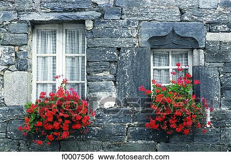France, Brittany, Flowered windows View Large Photo Image Stock Photograph - France, Brittany, Flowered windows. Fotosearch