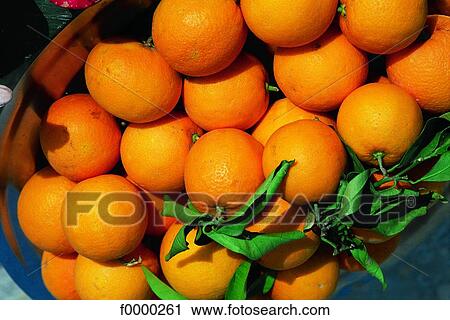 Tunisia, Basket of clementines View Large Photo Image Stock Image - Tunisia, Basket of clementines. Fotosearch