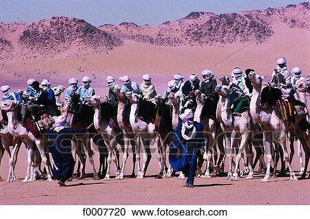 Stock Image - Algeria, Sahara, Djanet, dromedary race during the Sbiba feast. Fotosearch