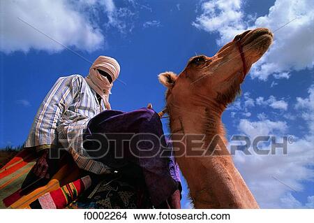 Picture - Algeria, Sahara, Tuareg on dromedary. Fotosearch