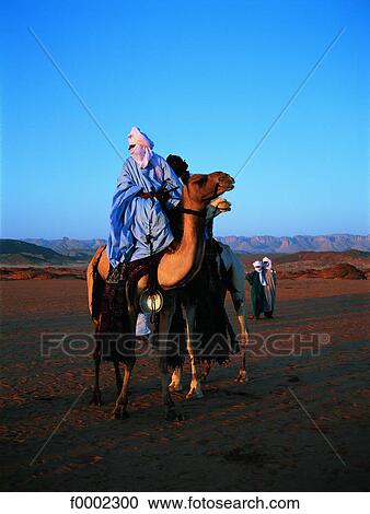 Algeria, Tuareg and dromedary in Sahara View Large Photo Image Stock Image - Algeria, Tuareg and dromedary in Sahara. Fotosearch