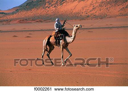 Algeria, Tuareg in Sahara View Large Photo Image Stock Image - Algeria, Tuareg in Sahara. Fotosearch