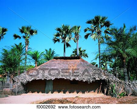 Senegal, Casamance, Diolla Village View Large Photo Image Stock Image - Senegal, Casamance, Diolla Village. Fotosearch