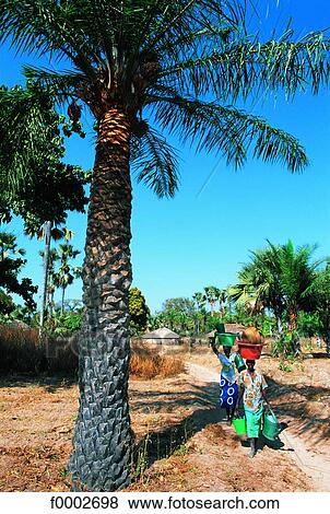 Stock Photo - Senegal, Casamance, Diolla Village. Fotosearch