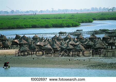Senegal, Joal-Fadiuth village, homes on piles View Large Photo Image Stock Photo - Senegal, Joal-Fadiuth village, homes on piles. Fotosearch