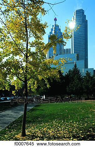 Ontario, Toronto, Building in automn View Large Photo Image Stock Photography - Ontario, Toronto, Building in automn. Fotosearch