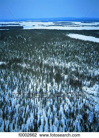 Province Quebec in the winter, aerial view View Large Photo Image Stock Image - Province Quebec in the winter, aerial view. Fotosearch