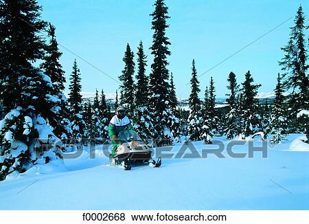Stock Photo - Quebec, Great North, snowbike trek. Fotosearch
