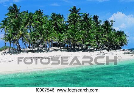 Bahamas, beach on Gilligham Sandy Island View Large Photo Image Stock Photograph - Bahamas, beach on Gilligham Sandy Island. Fotosearch