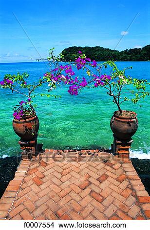 Jamaica, Port Antonio, private villa and Blue Lagoon View Large Photo Image Picture - Jamaica, Port Antonio, private villa and Blue Lagoon. Fotosearch