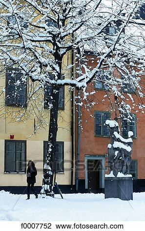 Stock Image - Sweden, Stockholm, Snow-covered tree and houses . Fotosearch