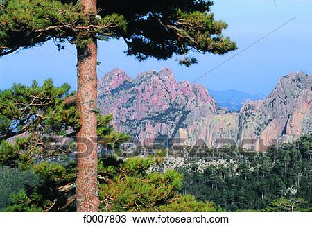 France, Corsica, Alta Rocca, Needles of Bavella View Large Photo Image Stock Image - France, Corsica, Alta Rocca, Needles of Bavella. Fotosearch