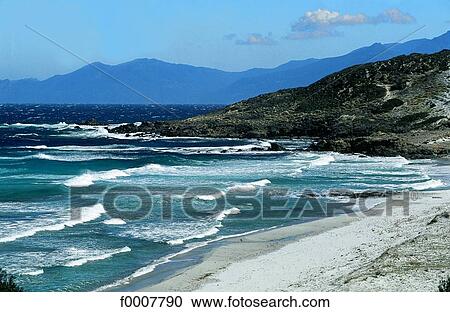 France, Corsica, Balagne, beach of the Agriates View Large Photo Image Stock Image - France, Corsica, Balagne, beach of the Agriates. Fotosearch