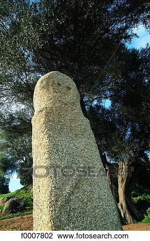 France, Corsica, Sartene, menhir on the Filitosa site View Large Photo Image Stock Image - France, Corsica, Sartene, menhir on the Filitosa site. Fotosearch