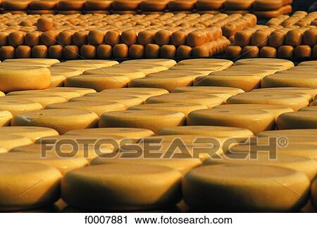 The Netherlands, Alkmaar, cheese fair View Large Photo Image Stock Image - The Netherlands, Alkmaar, cheese fair. Fotosearch