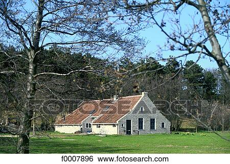 Stock Photograph - The Netherlands, Friesland, Terschelling, traditional farm. Fotosearch