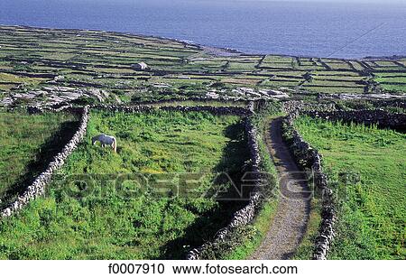 Ireland, Aran Islands, Inishmore, landscape View Large Photo Image Stock Image - Ireland, Aran Islands, Inishmore, landscape. Fotosearch