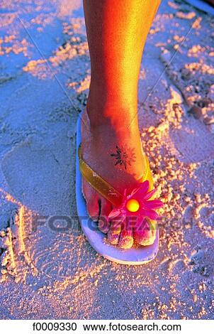 Body close-ups, lifestyle, people, adults View Large Photo Image Stock Image - Body close-ups, lifestyle, people, adults. Fotosearch
