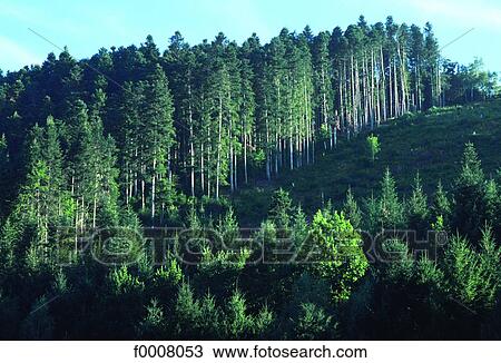 Stock Image - France, Auvergne, near Alleuze. Fotosearch