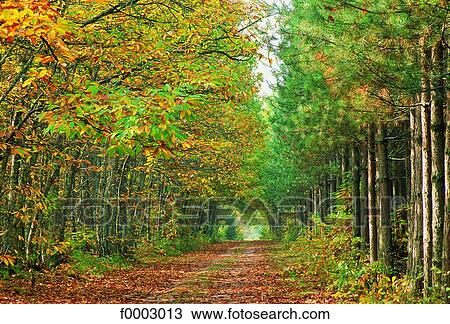 France, Sologne, landscape View Large Photo Image Stock Image - France, Sologne, landscape. Fotosearch