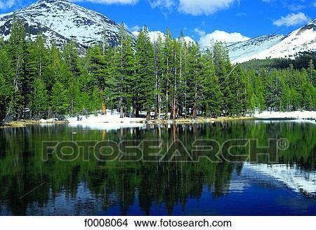 United States, USA, California, Yosemite National Park View Large Photo Image Picture - United States, USA, California, Yosemite National Park. Fotosearch