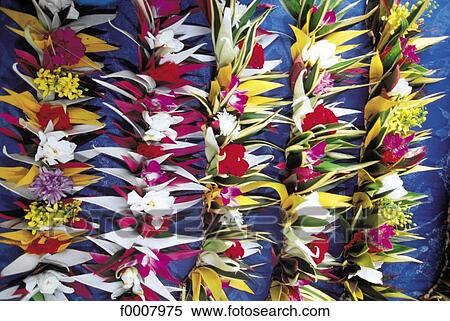 French Polynesia, Tahiti, flower ornaments View Large Photo Image Stock Photography - French Polynesia, Tahiti, flower ornaments. Fotosearch