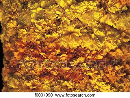 Stock Image - Indonesia, Bali, offerings. Fotosearch