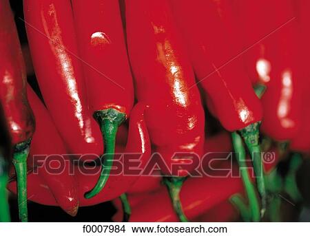 Red pepper View Large Photo Image Picture - Red pepper. Fotosearch