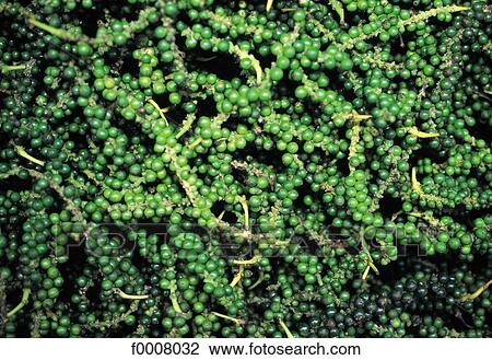 Stock Image - Bali, Denpasar market, green pepper. Fotosearch