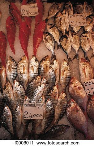 Italy, Venice, fish market View Large Photo Image Stock Image - Italy, Venice, fish market. Fotosearch