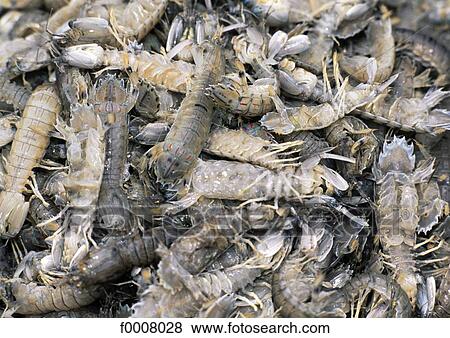 Thailand, Bangkok, floating market, sea-food View Large Photo Image Stock Photo - Thailand, Bangkok, floating market, sea-food. Fotosearch