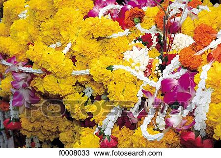 Thailand, Bangkok, flowers offerings View Large Photo Image Stock Image - Thailand, Bangkok, flowers offerings. Fotosearch