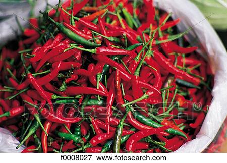 Thailand, Bangkok, Mahachai market, red peppers View Large Photo Image Stock Photo - Thailand, Bangkok, Mahachai market, red peppers. Fotosearch