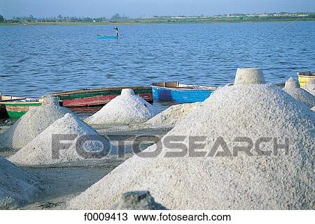Senegal, Pink Lake, in the salt marsh View Large Photo Image Stock Image - Senegal, Pink Lake, in the salt marsh. Fotosearch