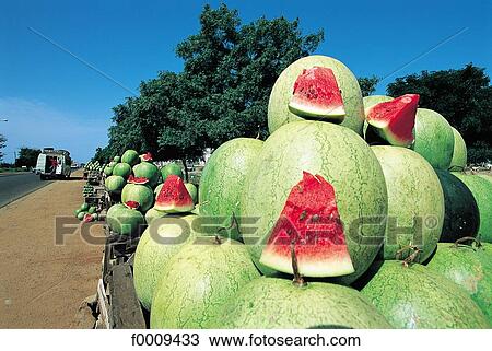 Senegal, Saly, small coast, selling watermellon View Large Photo Image Stock Image - Senegal, Saly, small coast, selling watermellon. Fotosearch