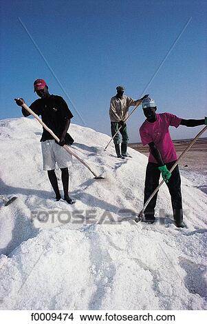 Picture - Senegal, Sine Saloum, Kaolack. Salt market. Fotosearch