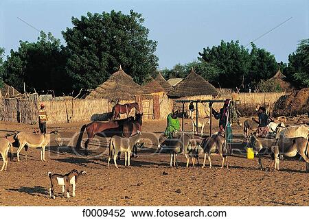 Senegal, Wolof country, Cayor View Large Photo Image Stock Image - Senegal, Wolof country, Cayor. Fotosearch