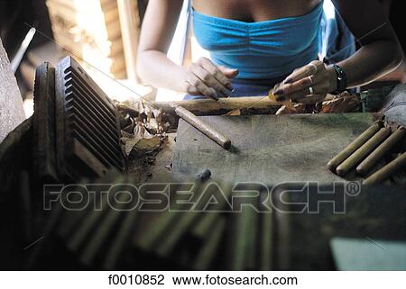 Stock Image - Havana, making cigars. Fotosearch