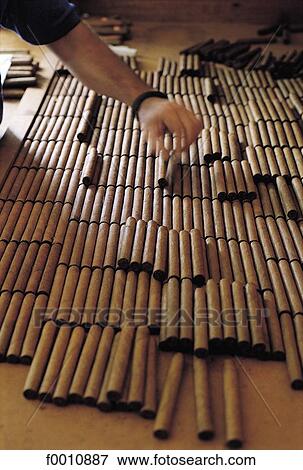 Havana, man making cigars View Large Photo Image Stock Photo - Havana, man making cigars. Fotosearch