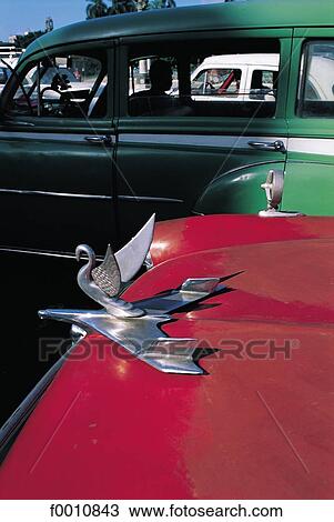 Havana, old american car View Large Photo Image Stock Image - Havana, old american car. Fotosearch