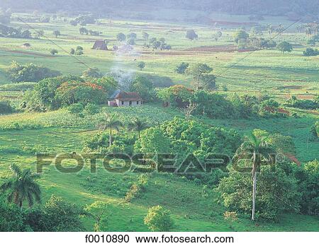 Valle de Los Vinales, farm at sunrise View Large Photo Image Stock Image - Valle de Los Vinales, farm at sunrise. Fotosearch