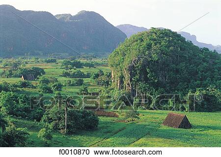 Stock Image - Valle de Los Vinales, Mogotes at sunset. Fotosearch