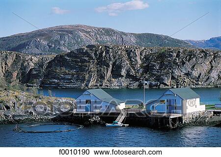 Lofoten Islands, salmons farm View Large Photo Image Stock Image - Lofoten Islands, salmons farm. Fotosearch
