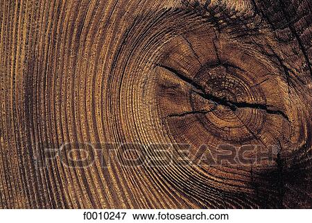 Oslo, Bygdoy, old wooden house, close-up View Large Photo Image Stock Photo - Oslo, Bygdoy, old wooden house, close-up. Fotosearch