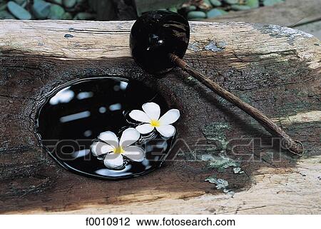 Traditional balinese massage, detail View Large Photo Image Stock Image - Traditional balinese massage, detail. Fotosearch
