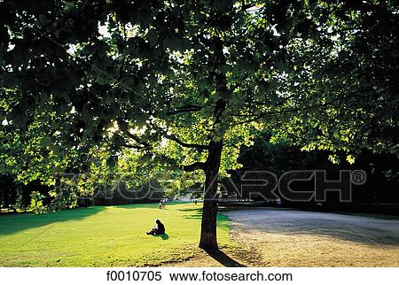 Cinquantenaire park View Large Photo Image Stock Photography - Cinquantenaire park. Fotosearch