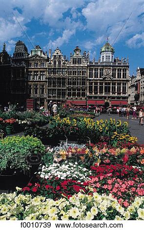Stock Photo - Grand Place, flower market. Fotosearch